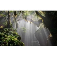 光的干涉、衍射、折射、反射、散射